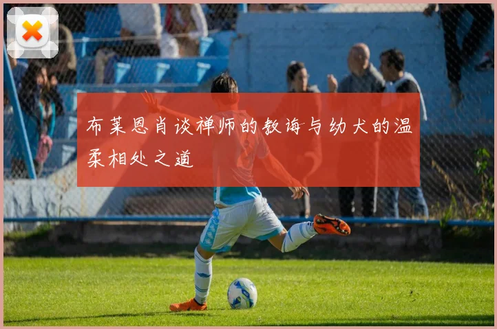 布莱恩肖谈禅师的教诲与幼犬的温柔相处之道