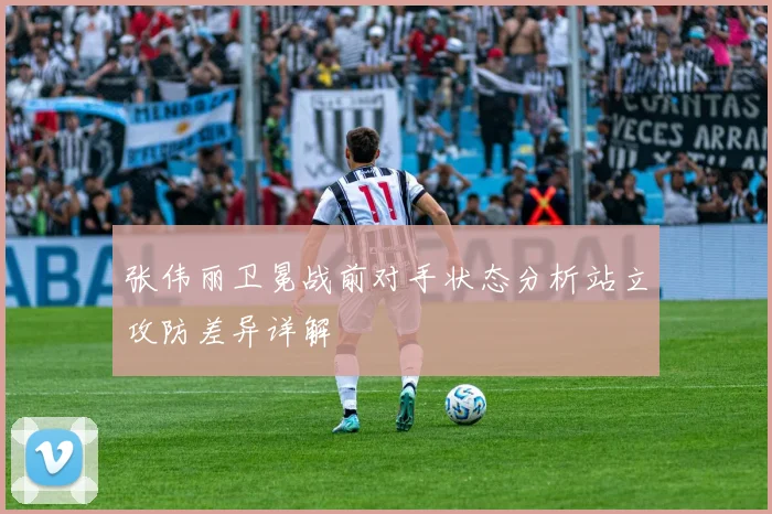 张伟丽卫冕战前对手状态分析站立攻防差异详解