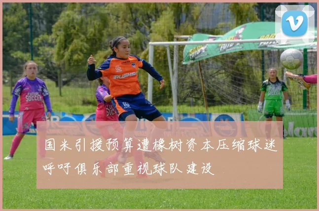 国米引援预算遭橡树资本压缩球迷呼吁俱乐部重视球队建设